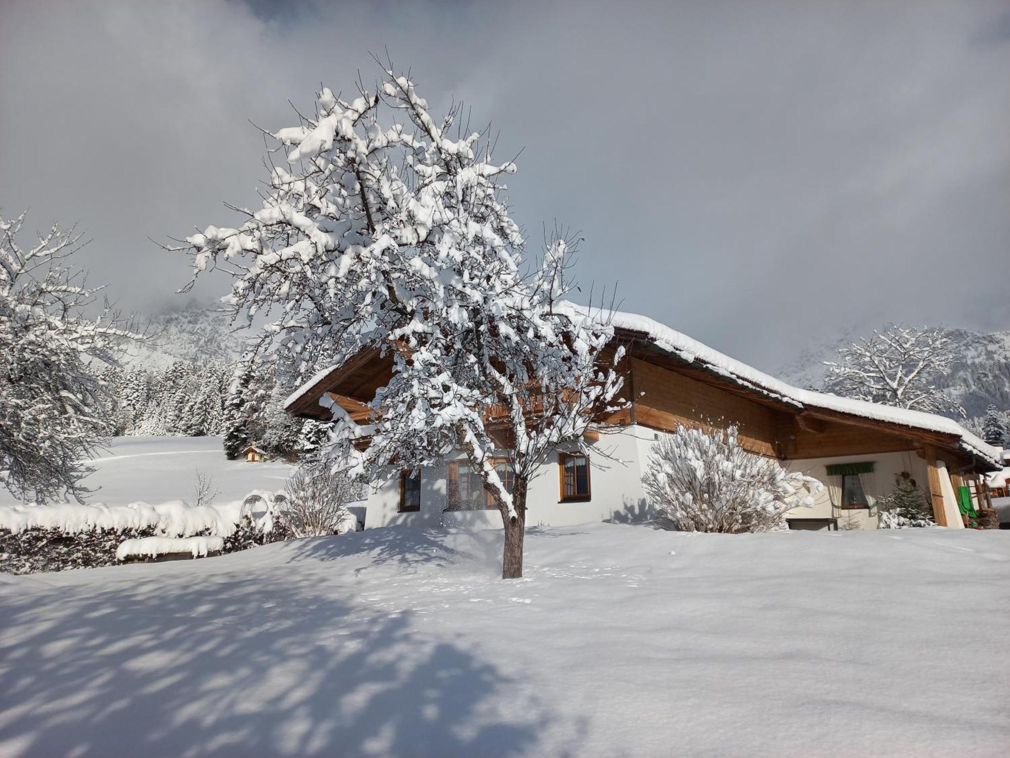 Chalet Gluecklich Sein... エルマウ エクステリア 写真